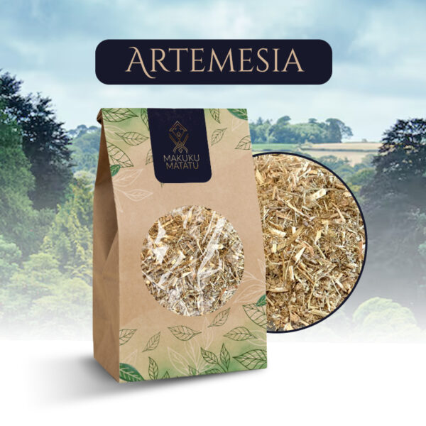 ARTEMESIA