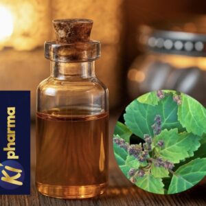 Patchouli
