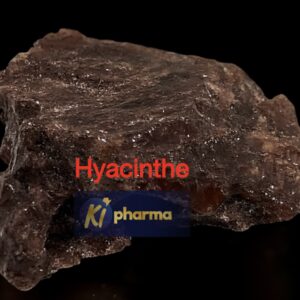 Hyacinthe / Hinsintha