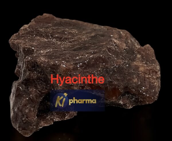 Hyacinthe / Hinsintha