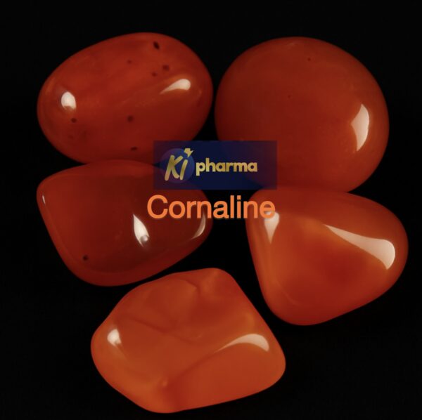 Cornaline