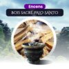 Bois sacré PALO SANTO
