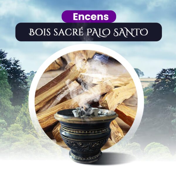 Bois sacré PALO SANTO