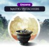 Mastic/ Pistachiers (Nti-Sa)