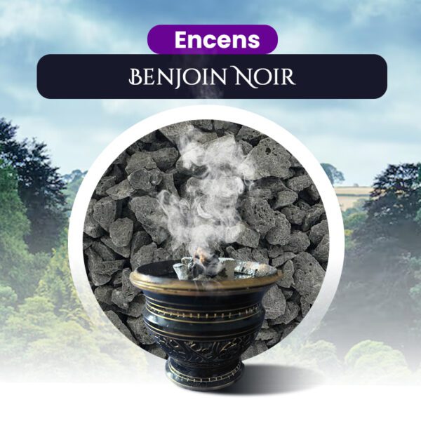 Benjoin Noir