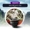 Sauge (Nti-Ta)