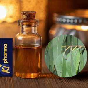 Eucalyptus globulus