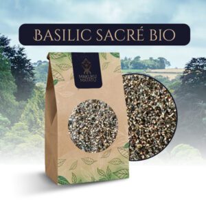 BASILIC SACRÉ Bio (Tulsi)