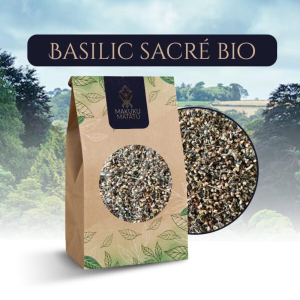 BASILIC SACRÉ Bio (Tulsi)