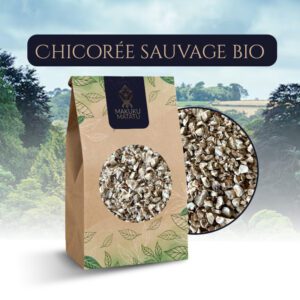 CHICORÉE sauvage bio
