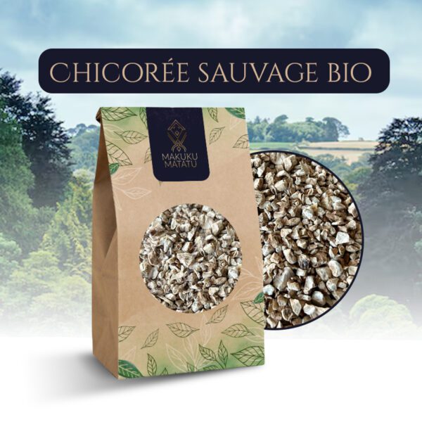CHICORÉE sauvage bio