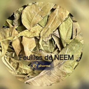 Feuilles de Neem