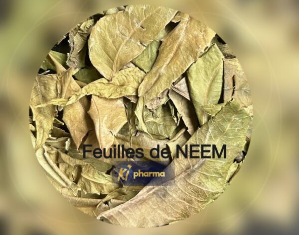 Feuilles de Neem