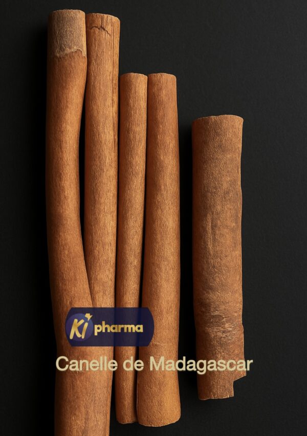 Cannelle de Madagascar